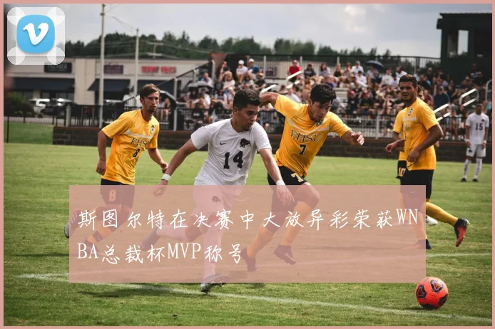 斯图尔特在决赛中大放异彩荣获WNBA总裁杯MVP称号