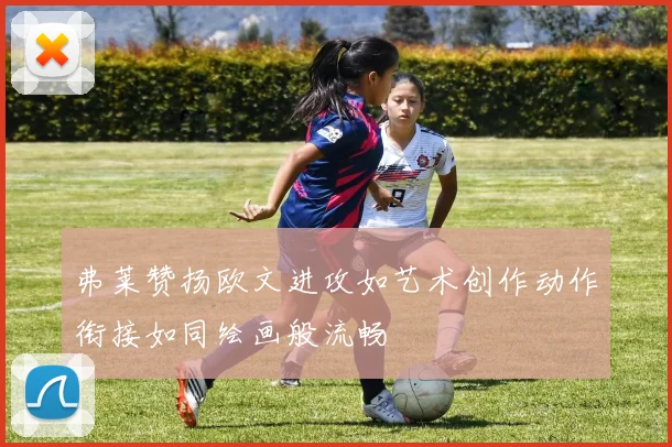 弗莱赞扬欧文进攻如艺术创作动作衔接如同绘画般流畅