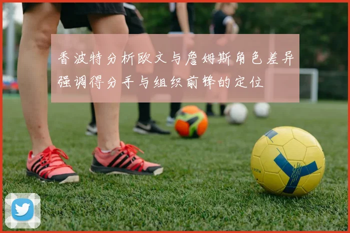 香波特分析欧文与詹姆斯角色差异强调得分手与组织前锋的定位
